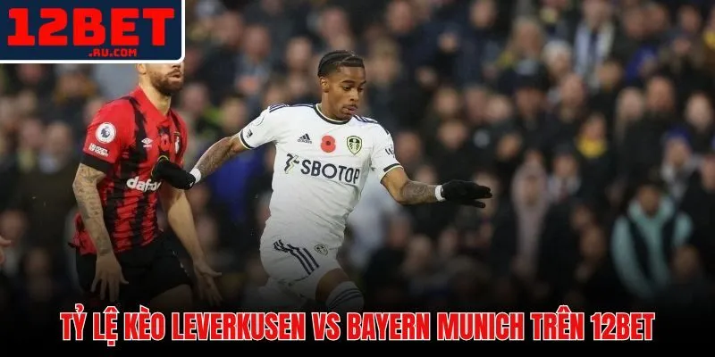 Soi Kèo Leverkusen Vs Bayern Munich - Tỷ Lệ Và Dự Đoán Mới Nhất 2 Bảng tỷ lệ kèo nhà cái 12BET trận đấu Leverkusen vs Bayern Munich